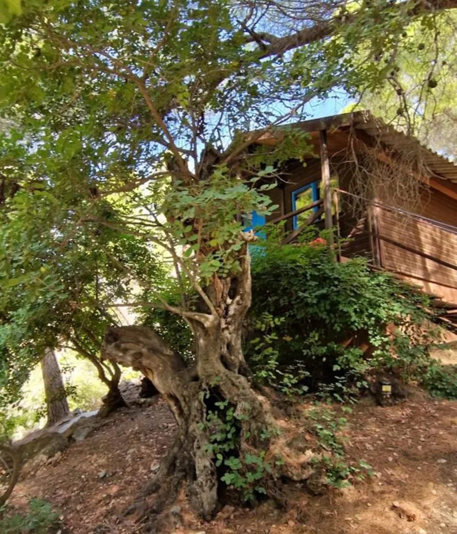 Villa Casa Surrender à Cómpeta
